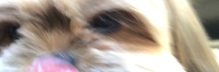 yercap_'s profile banner image