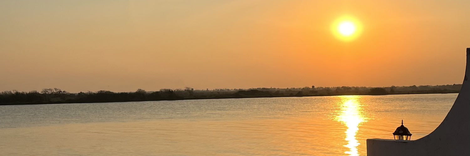 EmmanuelMusk's profile banner image