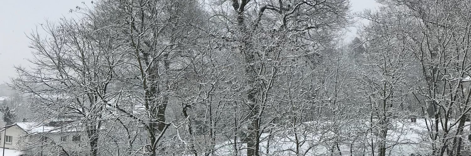 MelleElo_'s profile banner image