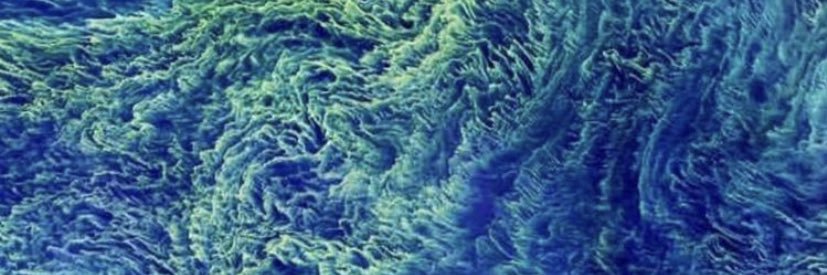 virginiatrigg's profile banner image