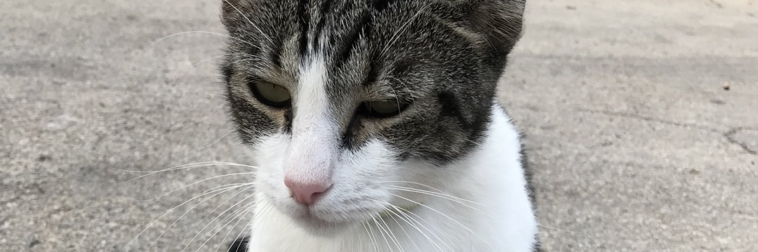 manuelazi_'s profile banner image