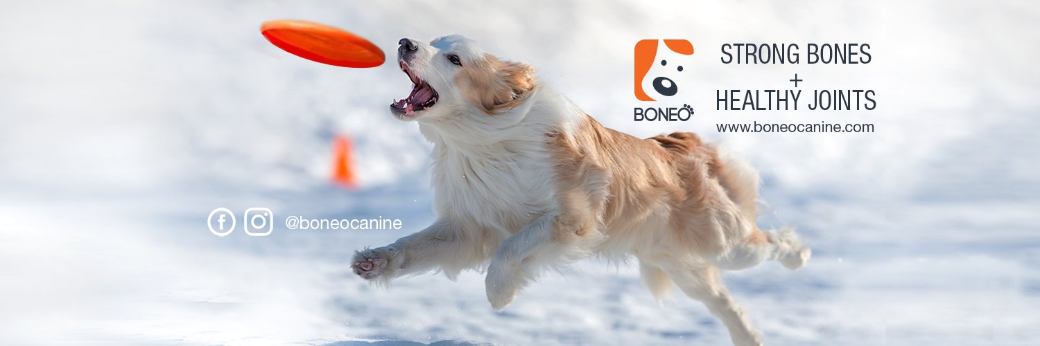 Boneocanine's profile banner image