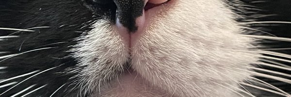 AgiBergman Profile Banner