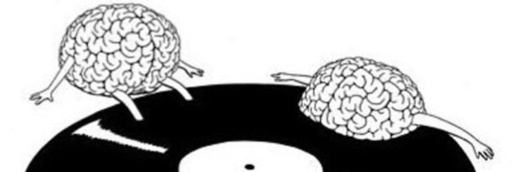 G_Guvenify's profile banner image
