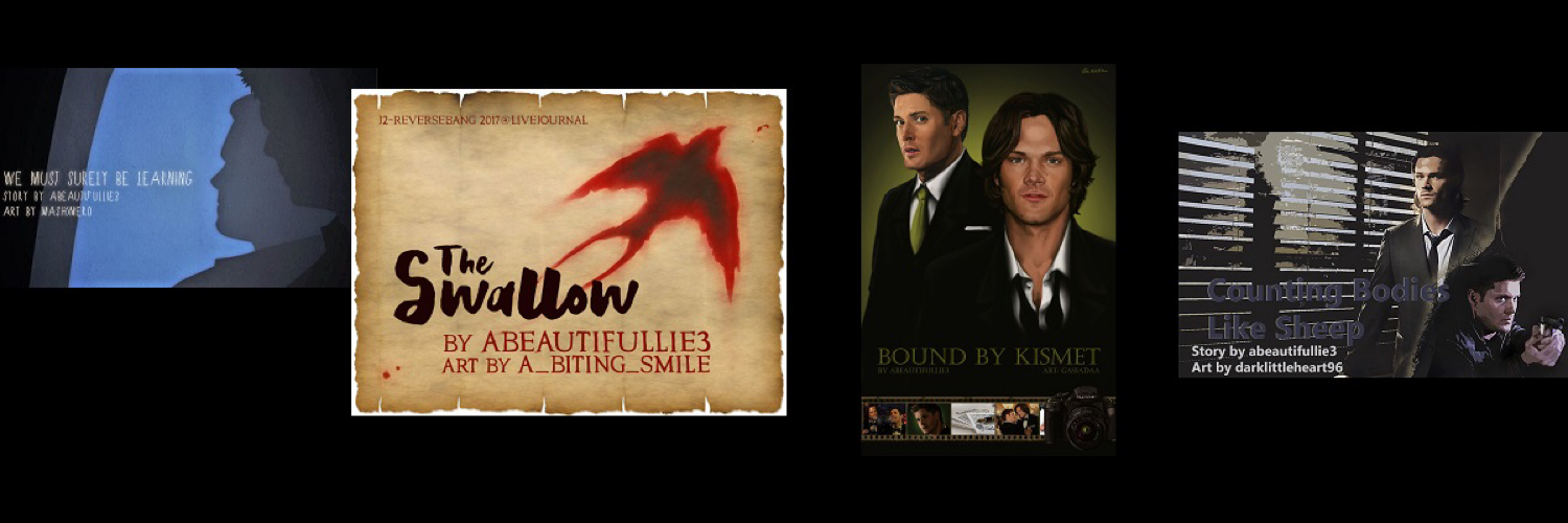 ABeautifulLie3_'s profile banner image