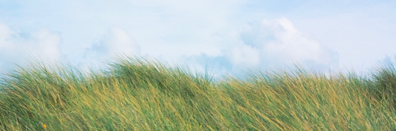 immahead_out's profile banner image