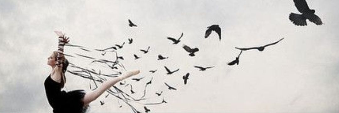 andysepulveda21's profile banner image