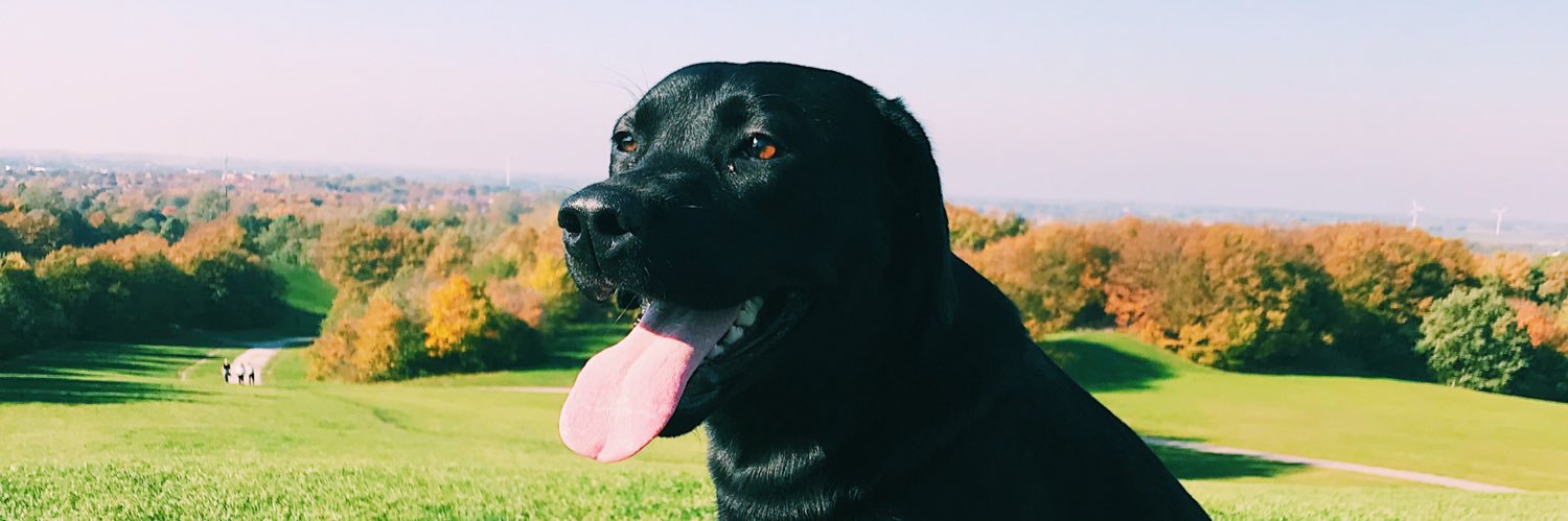 PerssonFridaa's profile banner image