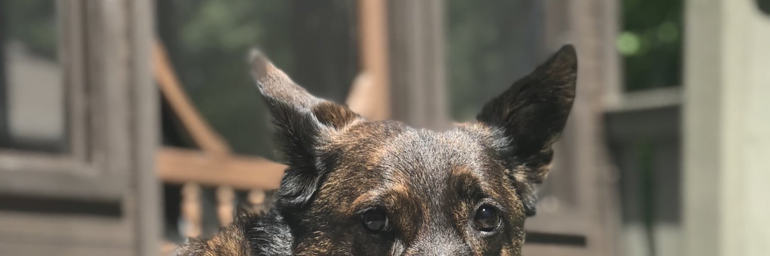 Danielle Gaudet banner