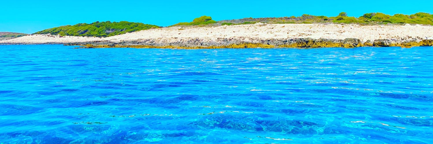 VickiWSlattery's profile banner image