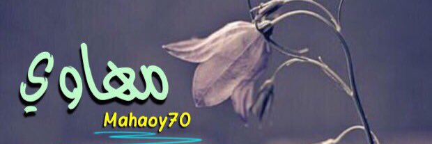 Mahaoy70's profile banner image