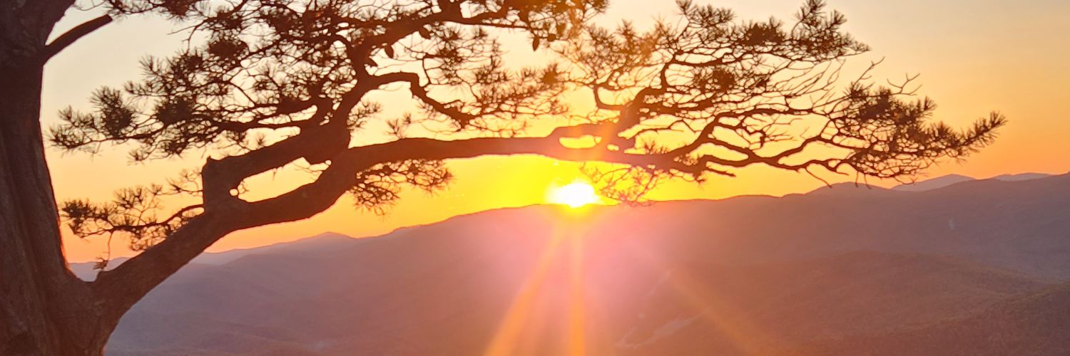 epipusher's profile banner image