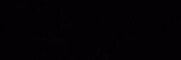 INDEBOY_TM's profile banner image