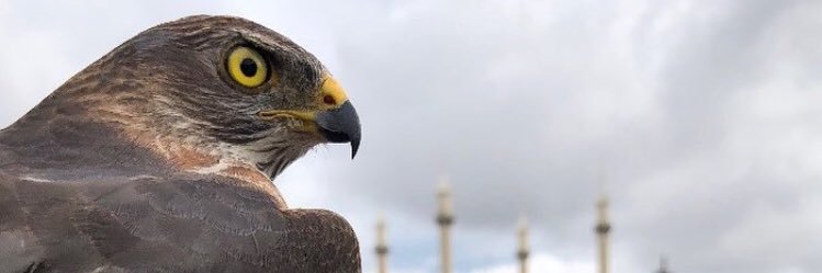 Nuelaaaaaaaaaa's profile banner image