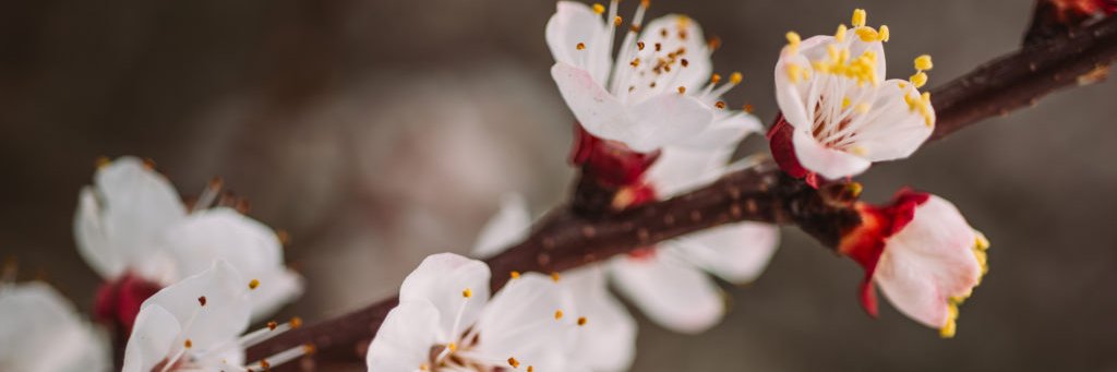 soonee_22's profile banner image