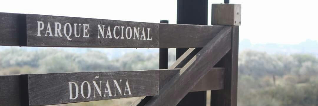 Eva__Olivares's profile banner image