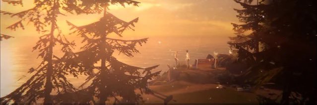 binwitch's profile banner image