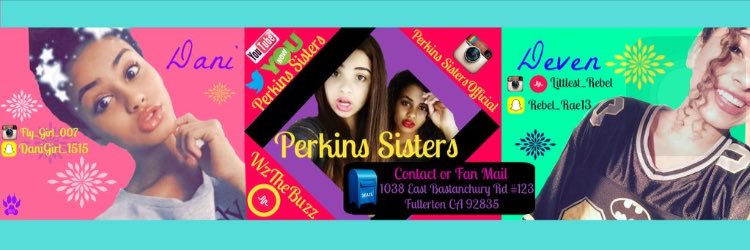 perkinssisters's profile banner image
