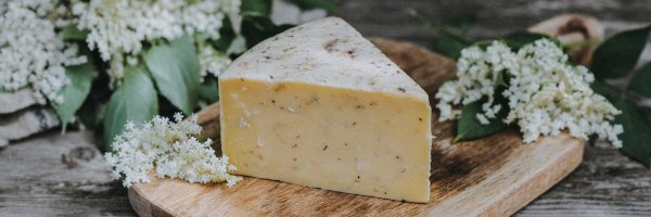 QuickesCheese Profile Banner