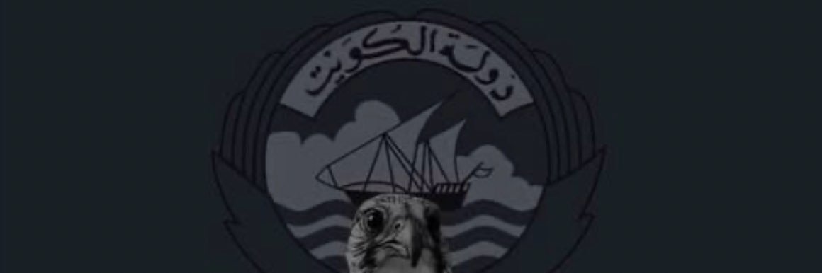 Dr_Albidini's profile banner image