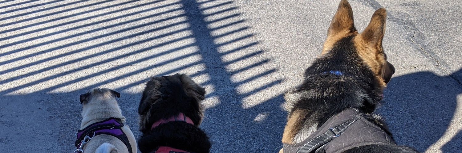 ferndog03's profile banner image