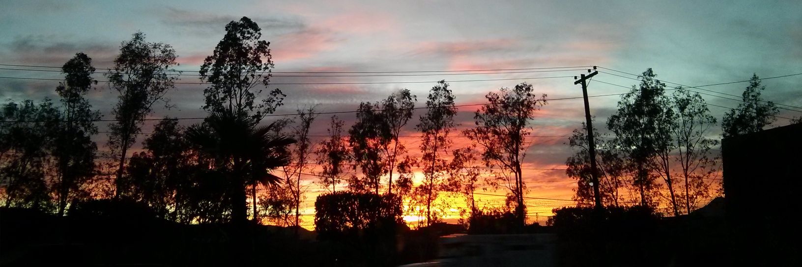 Tecate_MX's profile banner image