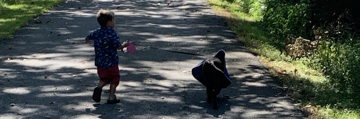 Michael McCarthy banner