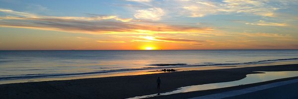 Albertolepe87 Profile Banner