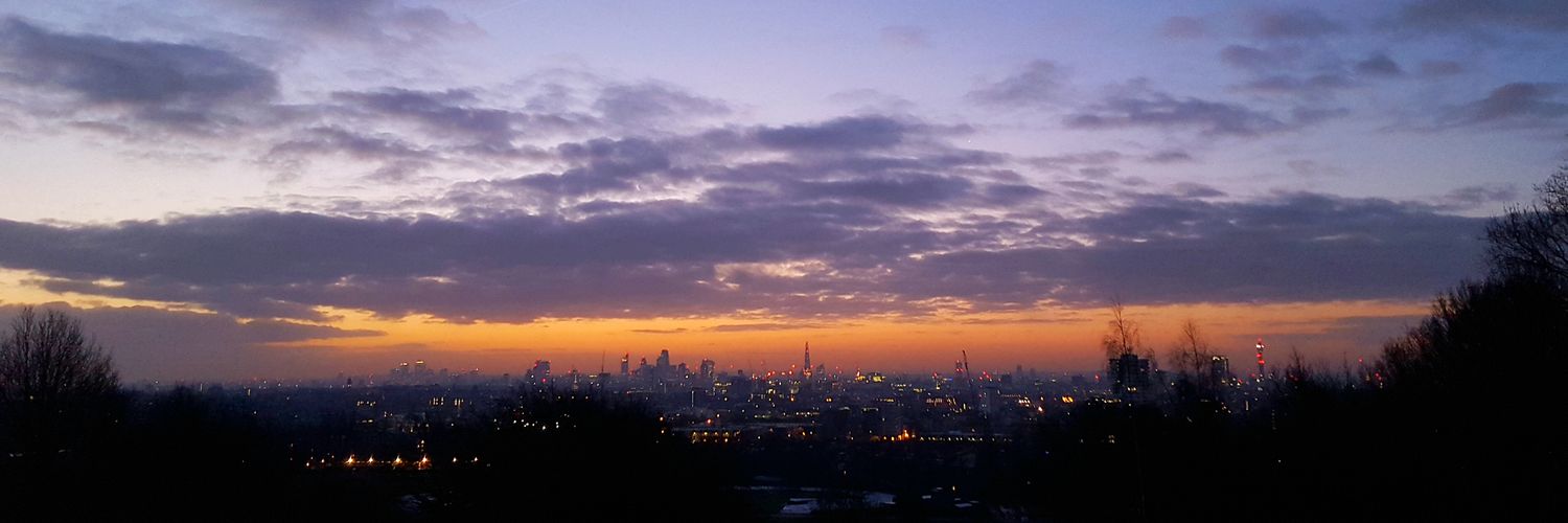 Silvia_Grassi's profile banner image