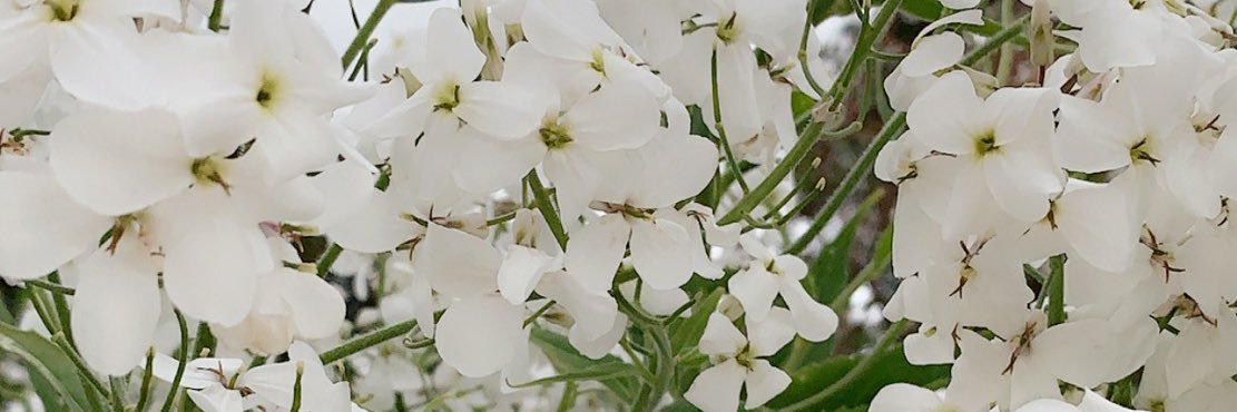 MariLou_2012's profile banner image