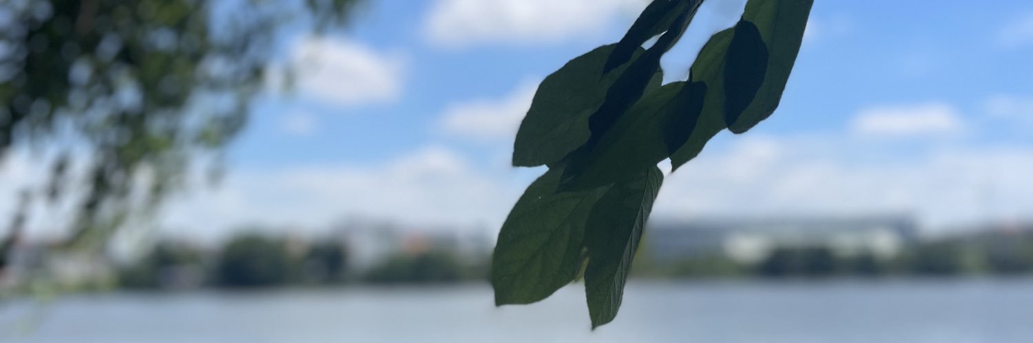 vohoangvu95's profile banner image