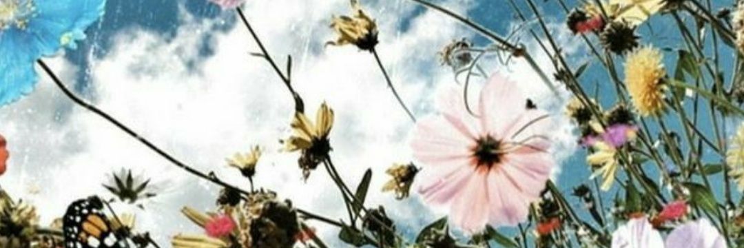 zavatra's profile banner image