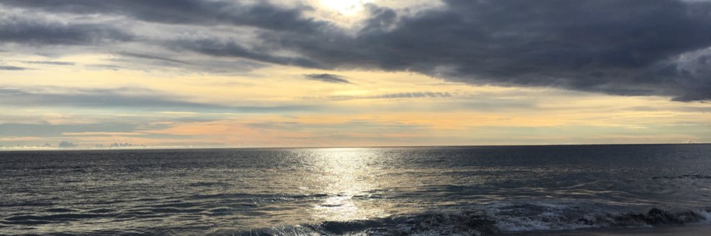 EmilylmOliver's profile banner image