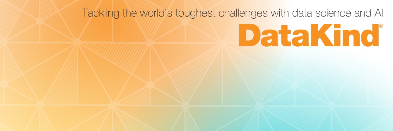 DataKind banner