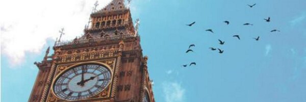 BellaMolnar Profile Banner