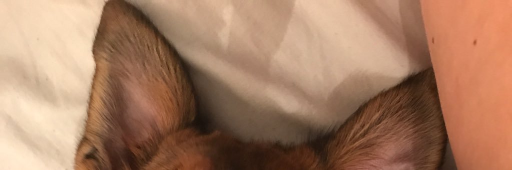 Stephfinney's profile banner image