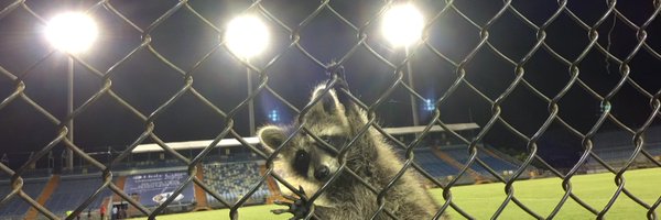 DR928 Profile Banner