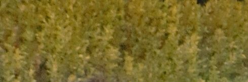 em_amg_'s profile banner image