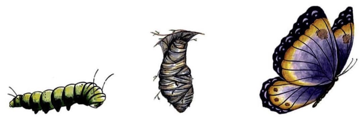 lexiifugatee's profile banner image