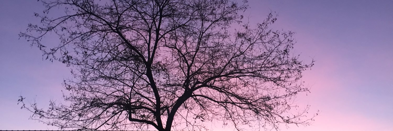 jas_helos's profile banner image