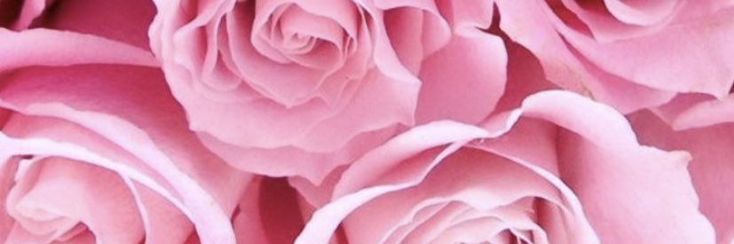 anna_martinezz's profile banner image