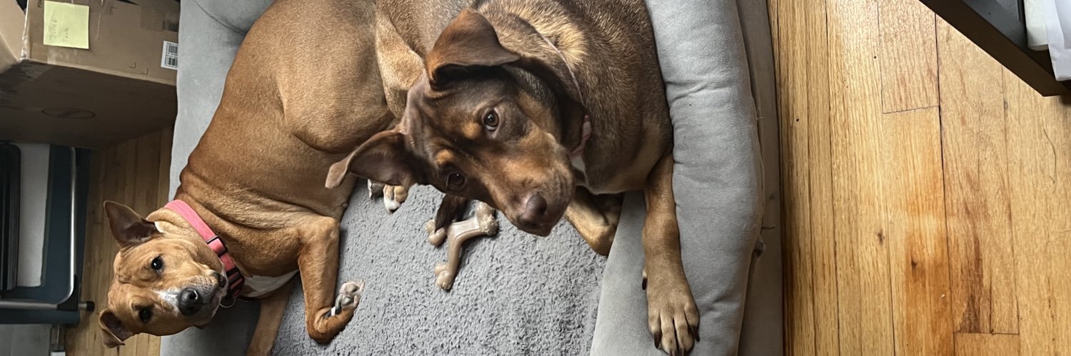 juju💕🥰🥹 banner