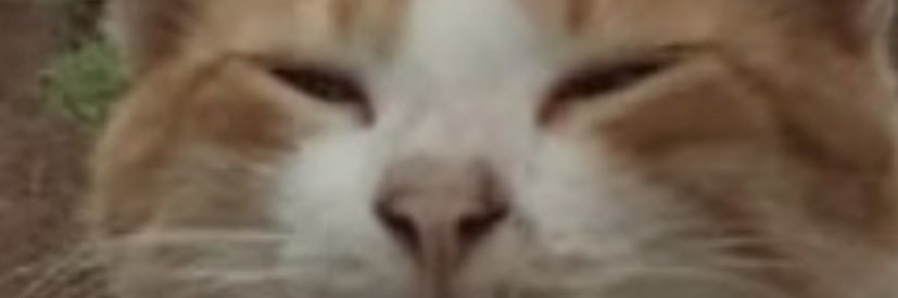 xsiskax's profile banner image