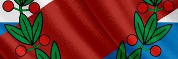 silvi_flores's profile banner image