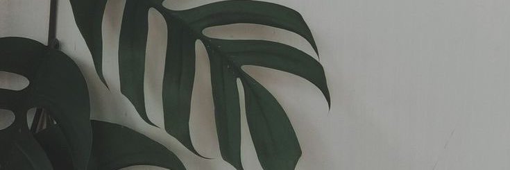 LilianaaYaneth's profile banner image