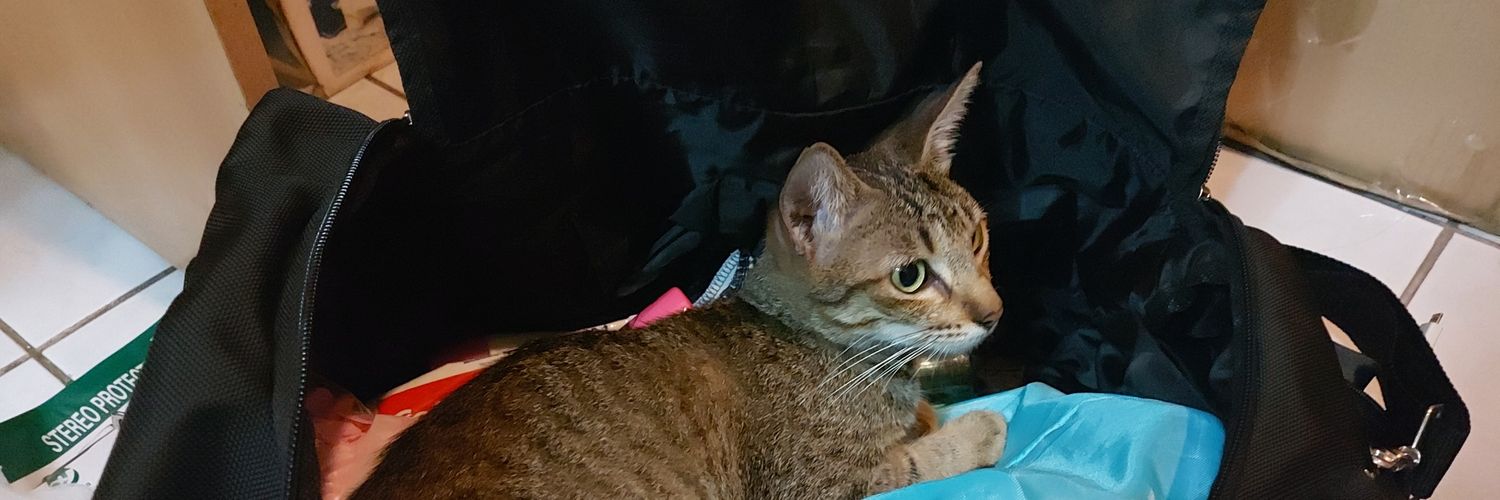 elixxx's profile banner image