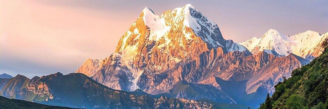 Pi1g_le's profile banner image