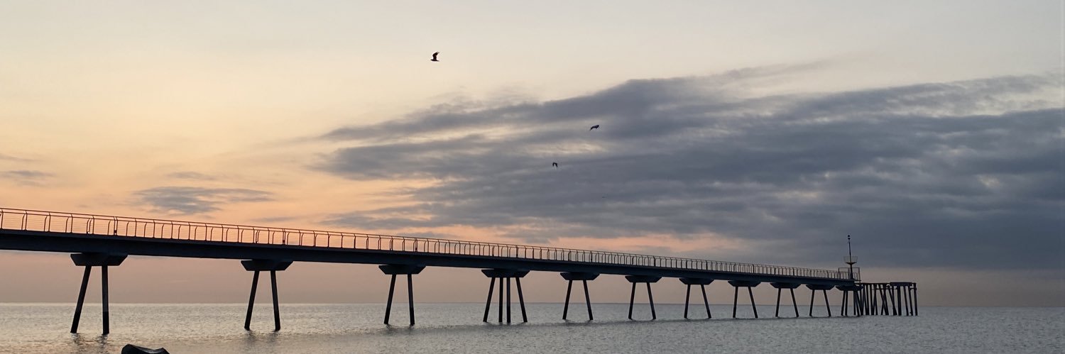 Pilar Hallado banner