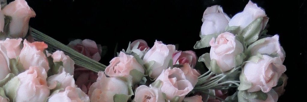 blushmyth's profile banner image