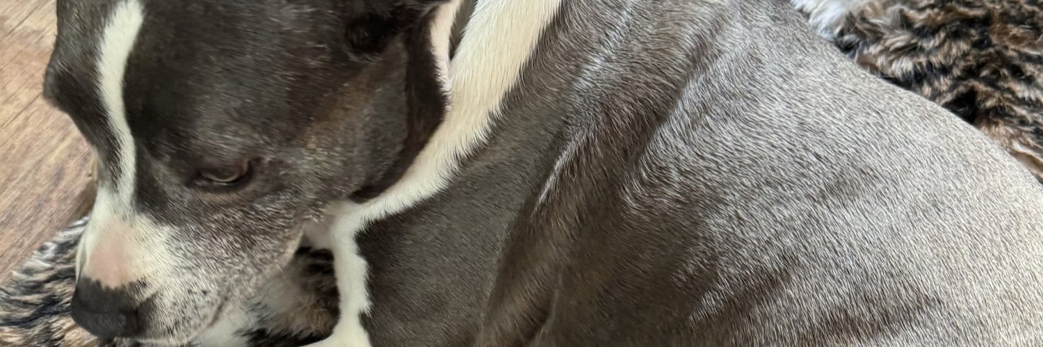 Hendon🇬🇧✝️ banner